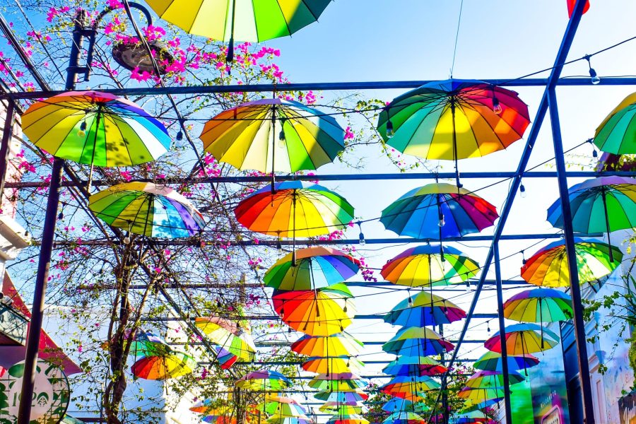 Shopping And Sight Seeing Experience